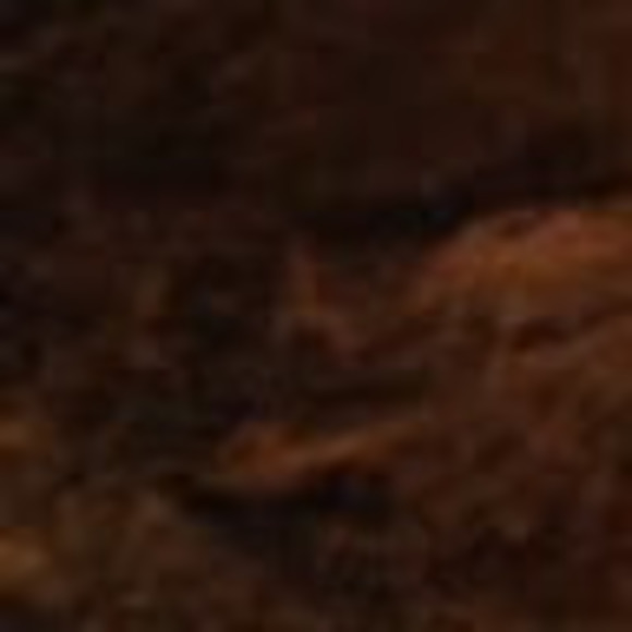 Meet your Posher, Sami - Picture 1 of 1